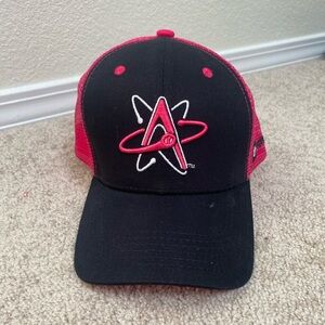 Albuquerque Isotopes Baseball Trucker Hat (Pink)